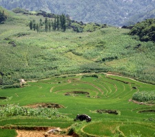 Laos