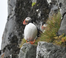 Spitsbergen